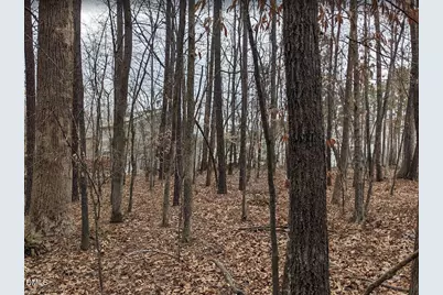 101 Richmond Run, Stem, NC 27581 - Photo 4