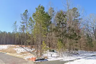 101 Richmond Run, Stem, NC 27581 - Photo 1