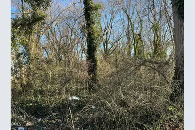 00 Vaughan Street, Henderson, NC 27536 - Photo 4