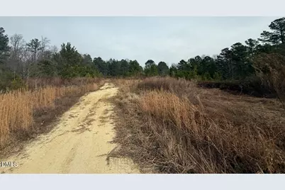 0 Murphy Road, Youngsville, NC 27596 - Photo 10