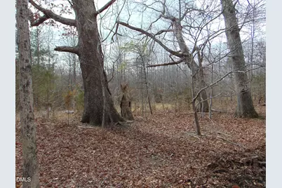 0 Walters Mill Road, Providence, NC 27315 - Photo 8