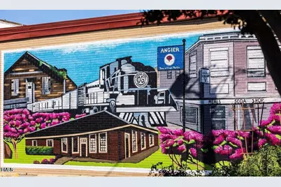 257 Blue Butterfly Drive, Angier, NC 27501 - Photo 38