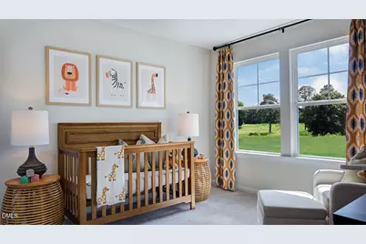 257 Blue Butterfly Drive, Angier, NC 27501 - Photo 26