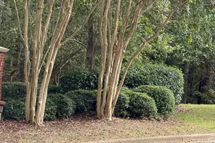 1114 Arborgate Cir, Chapel Hill, NC 27514 - Photo 56