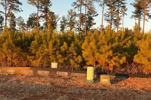 Lot 28 River Meadow Ct, Spring Hope, NC 27882 - Photo 1