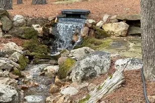 1100 Evensong Ct, Youngsville, NC 27596 - Photo 84