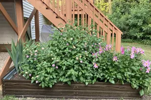 316 Misty Groves Cir, Morrisville, NC 27560 - Photo 32