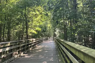 316 Misty Groves Cir, Morrisville, NC 27560 - Photo 30