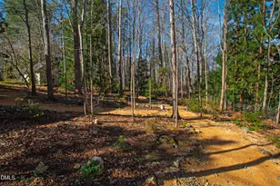 109 Chimeneas Pl, Chapel Hill, NC 27517 - Photo 74