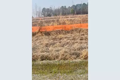 122 Galway Road, Lillington, NC 27546 - Photo 2