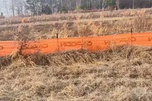 122 Galway Rd, Lillington, NC 27546 - Photo 2