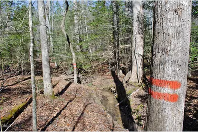 001 Scott Lane, Henderson, NC 27537 - Photo 20