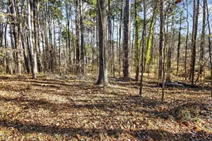 18 Syracuse Pl, Durham, NC 27704 - Photo 42