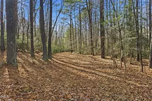 143 Christenbury Ln, Clayton, NC 27527 - Photo 100