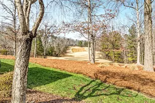 83 Broad Leaf Ct, Chapel Hill, NC 27517 - Photo 58