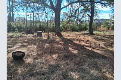 149 Fox Trot Way, Wilsons Mills, NC 27577 - Photo 14