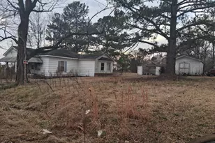 149 Fox Trot Wy, Wilsons Mills, NC 27577 - Photo 2