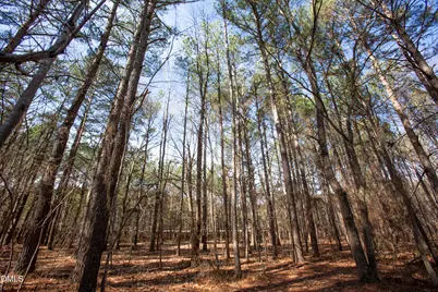 176 Southwick Avenue, Clayton, NC 27527 - Photo 40