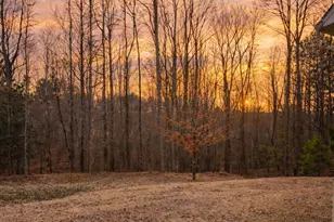 2024 Delphi Wy, Wake Forest, NC 27587 - Photo 4