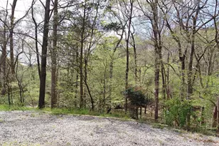 7901 River Ridge Rd, Wake Forest, NC 27587 - Photo 6