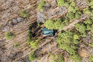 2604 Whistling Quail, Apex, NC 27502 - Photo 52