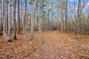 8814 Partridge Run, Chapel Hill, NC 27516 - Photo 38