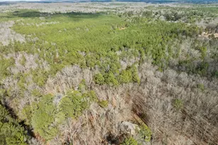 8814 Partridge Run, Chapel Hill, NC 27516 - Photo 42