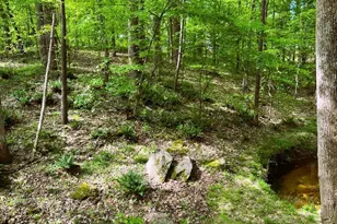 1846 Forest Wood Rd, Rocky Mount, NC 27804 - Photo 60