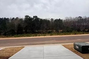 226 Fosterton Cottage Wy, Raleigh, NC 27603 - Photo 44