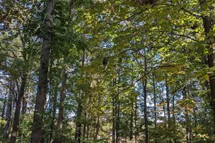 3043 Creech Rd, Raleigh, NC 27610 - Photo 36