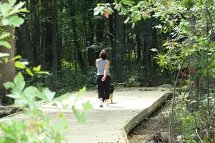 605 Hedrick Rdg Rd, Cary, NC 27519 - Photo 34