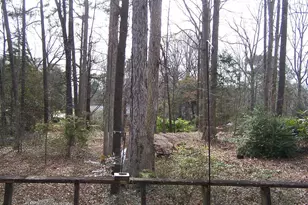 5008 Will-O-Dean Rd, Raleigh, NC 27616 - Photo 34