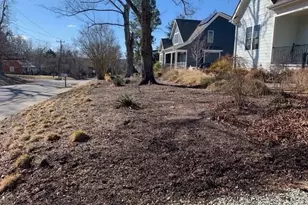 207 N Nash St, Hillsborough, NC 27278 - Photo 18