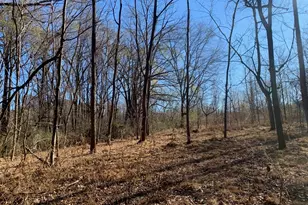 0 Rives Chapel Church Rd, Siler City, NC 27344 - Photo 1