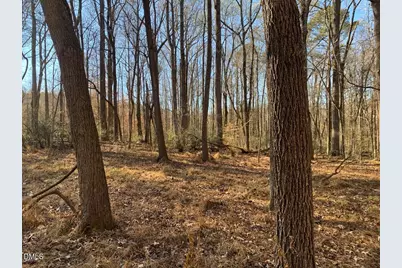 0 Rives Chapel Church Road, Siler City, NC 27344 - Photo 12