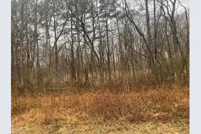 0 Rives Chapel Church Road, Siler City, NC 27344 - Photo 14