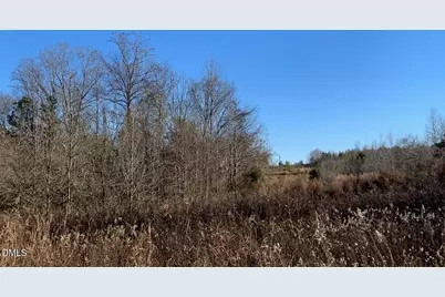 0 Rives Chapel Church Road, Siler City, NC 27344 - Photo 4