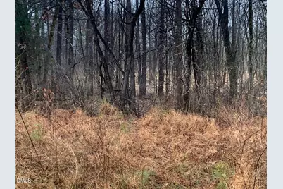 0 Rives Chapel Church Road, Siler City, NC 27344 - Photo 6