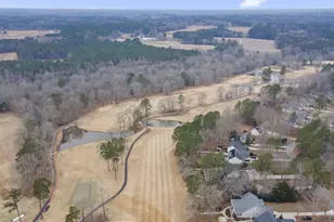 167 Black Cloud Dr, Louisburg, NC 27549 - Photo 28