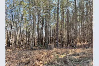 800 Olive Branch Road, Durham, NC 27703 - Photo 2