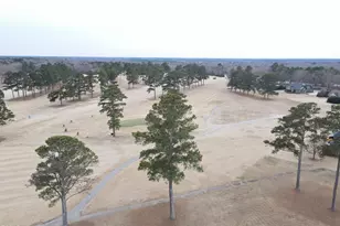 141 Chicora Club Dr, Dunn, NC 28334 - Photo 24