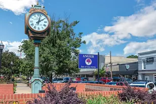 1028 Red Finch Wy, Angier, NC 27501 - Photo 48