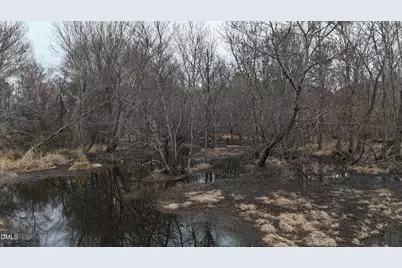 0 Walnut Grove Church Road, Louisburg, NC 27549 - Photo 42