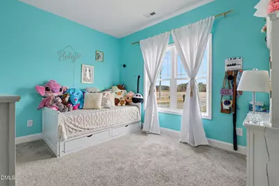 1405 New Daniels Chapel Road, Fremont, NC 27830 - Photo 14