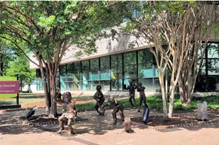 604 Ashe Ave, Cary, NC 27511 - Photo 36