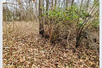 804 A Whitsett Avenue, Gibsonville, NC 27249 - Photo 30