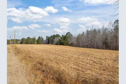 Lot 3 Collie Jones Road, Rougemont, NC 27572 - Photo 10