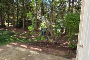 7869 Spungold St, Raleigh, NC 27617 - Photo 10