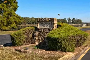 275 Lake Point, Sanford, NC 27332 - Photo 68