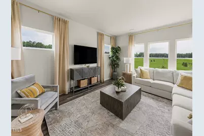 698 White Birch Lane, Angier, NC 27501 - Photo 4